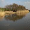 The winding hole is a bit hidden by Mike and Ethel Cummins – 9 November 2015