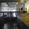Piccadilly Lock Residents Association by David Tunbridge – 16 July 2012
