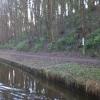 Ringed moorings opposite the golf course by Mike and Ethel Cummins – 23 December 2015