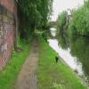 Moorings east of the bridge by John Howarth – 22 May 2009