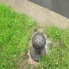 Interesting cast detail on the mooring posts here by John Howarth – date unknown