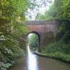 A deep and bosky cutting by Nick Atty – 16 July 2002