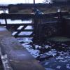 Crossing point for local children by PeterScott – November 1977