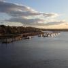 Looking upriver by PeterScott – 26 October 2018