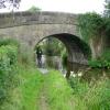by David Tunbridge – 11 July 2007
