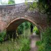 Bridge 50 by Rebecca Matley – 5 July 2022
