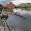 Some boats in this basin need a little t.l.c. by Charles Lyne – 19 October 2011