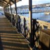 Looking through pier entrance bridge to walkway by PeterScott – 26 October 2018
