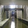 Going into the lock by Stephen Bashford – 7 May 2005