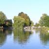 The lock approaches from upstream. The lock itself is to the left of the big willow tree. by Charles Lyne – 7 September 2007