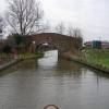 by David Tunbridge – 19 February 2007