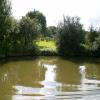 Approaching footbridge No 63 - towards Glascote by PIG and PINEAPPLE – 26 September 2006