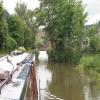 Summer growth makes it difficult to judge the width. by Charles Lyne – 5 June 2012