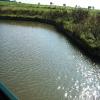 Just west of Bridge No 98 by PIG and PINEAPPLE – 23 September 2006