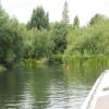 Lots of trees make this cut less obvious. by Charles Lyne – 19 July 2023