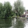The brook passes through a very lovely garden as it enters the Thames. by Charles Lyne – 26 August 2021