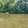 Long Ing Bridge Winding Hole by Ray Hutchings – 2 June 2021