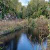Llanymynech Wharf (Western Arm) by nbCarmel – 25 October 2021