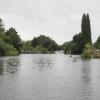 Weir and yacht club visible, the mill is behind the fallen tree. by Charles Lyne – 31 August 2021